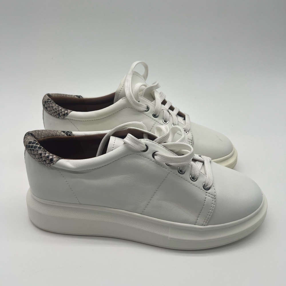 Paolo White and Gray Sneakers with Modern Design